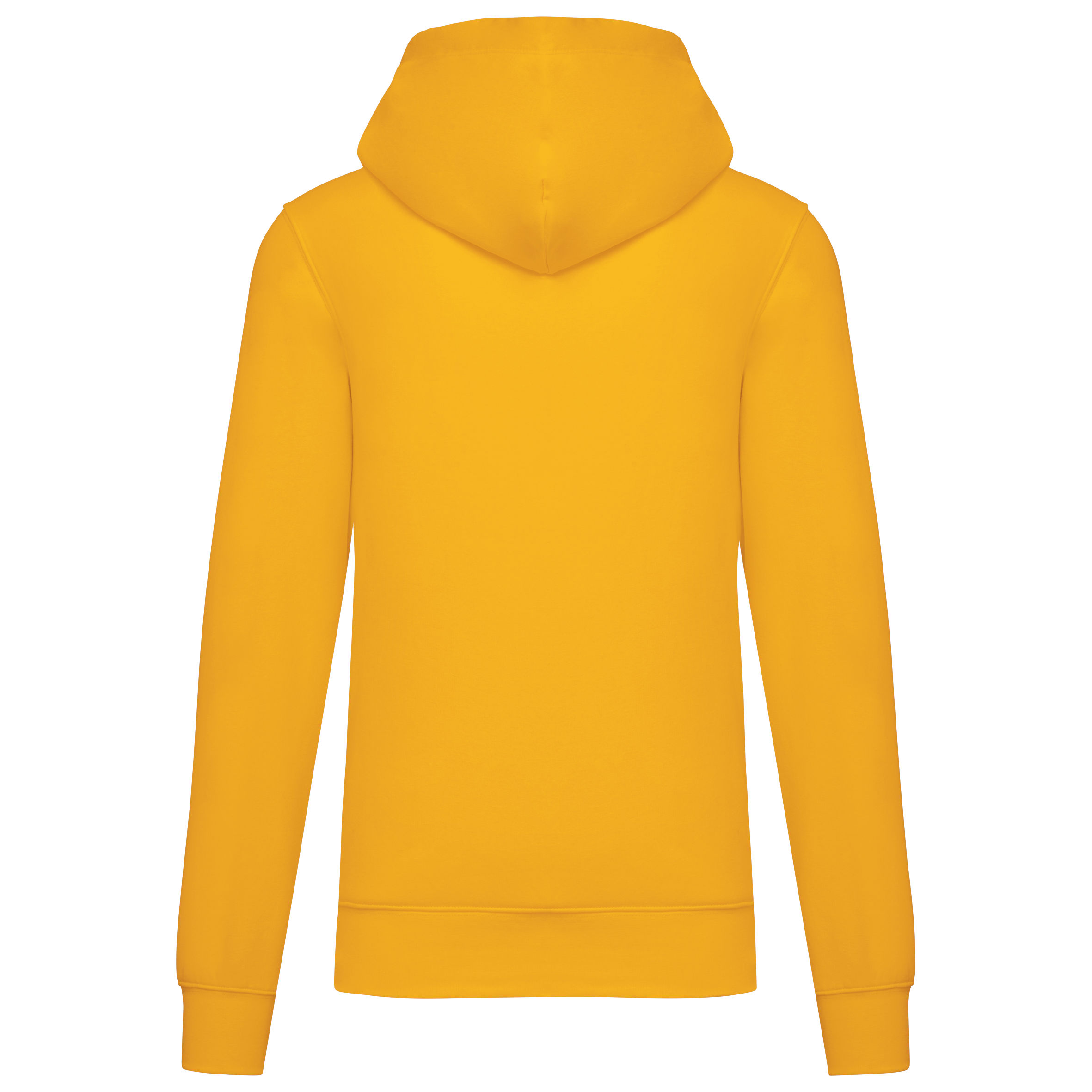 PS_K4027-B_YELLOW - Hidalgo