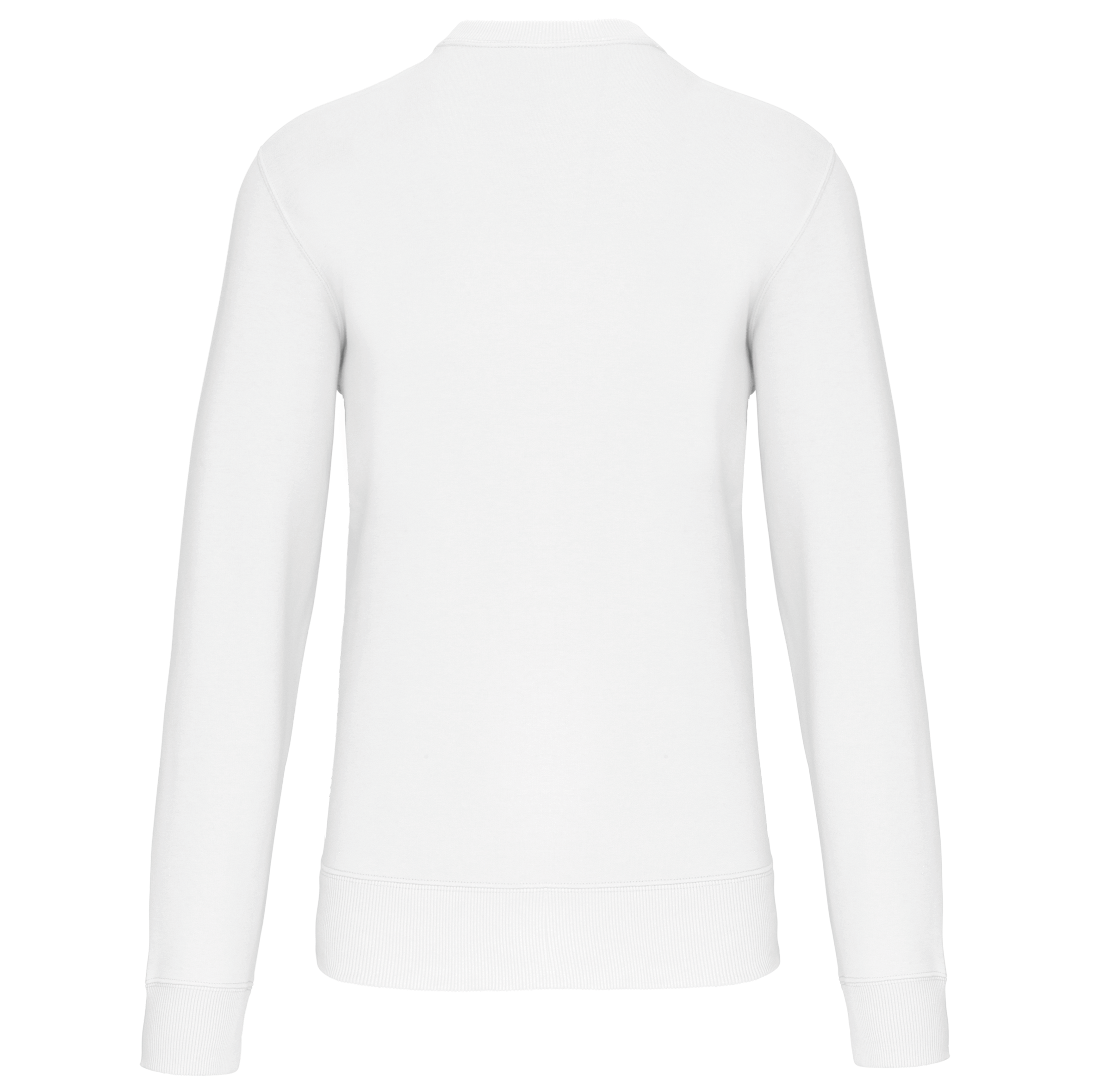PS_K442-B_WHITE - Hidalgo