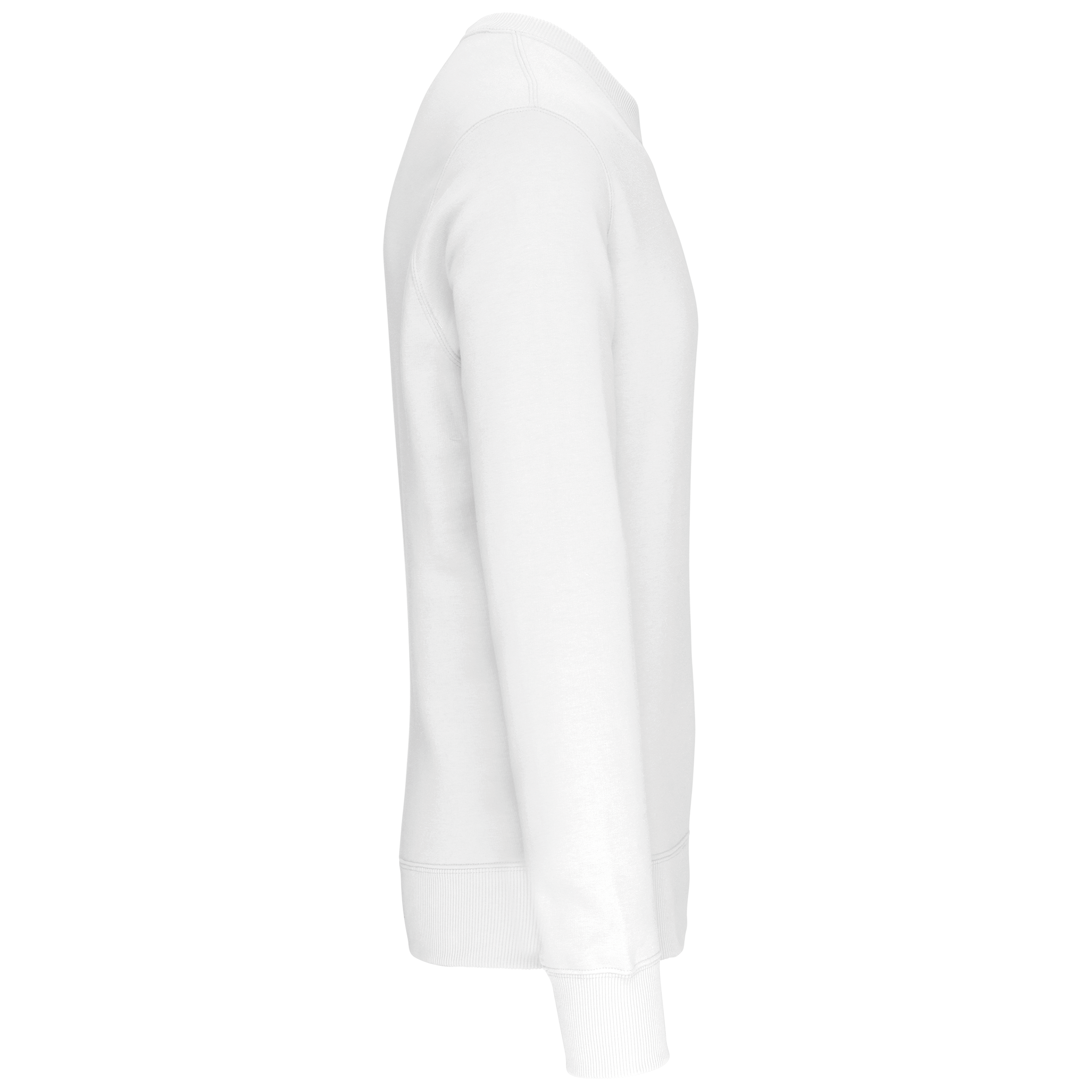 PS_K442-S_WHITE - Hidalgo
