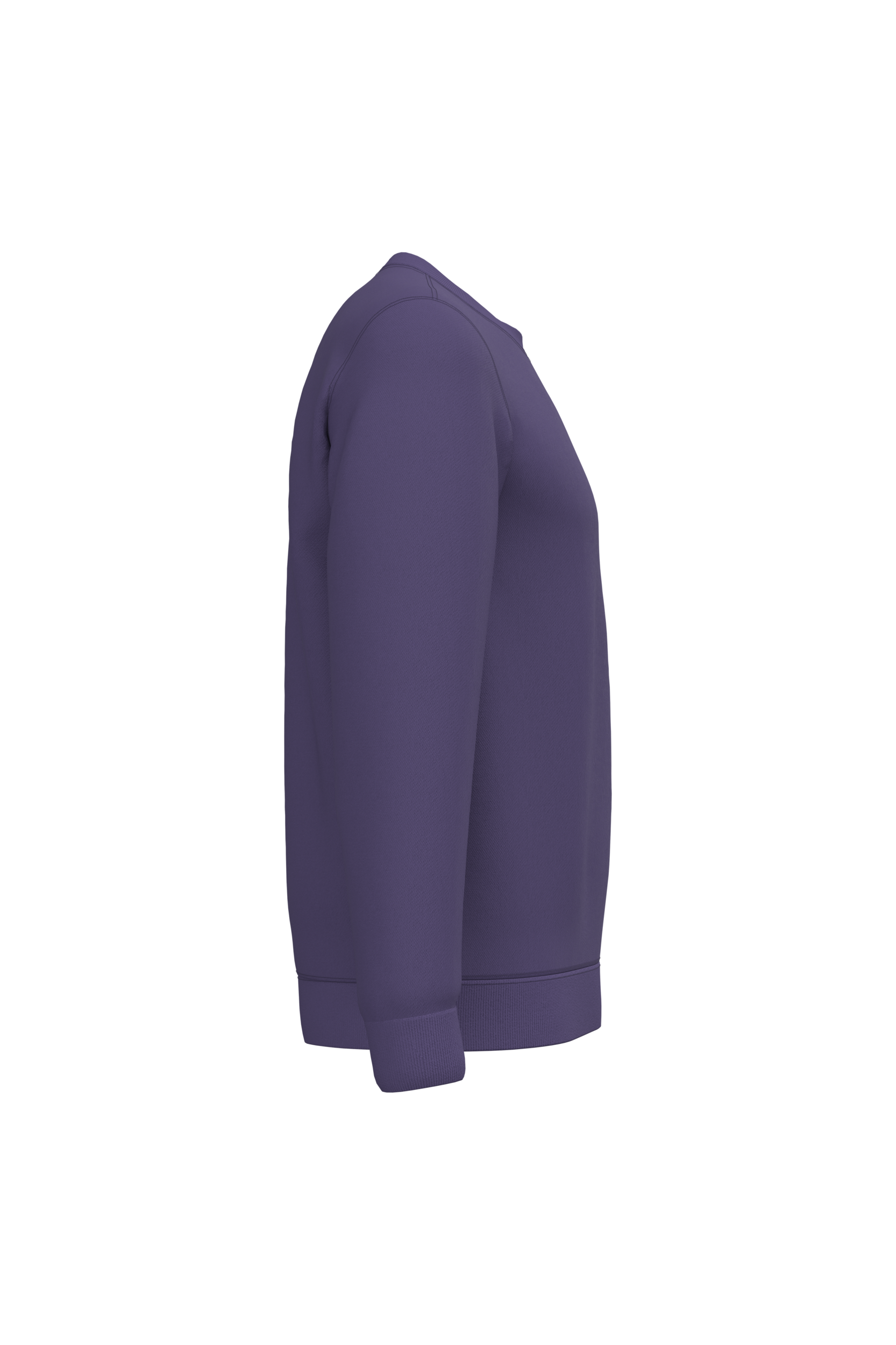 PS_K474-S_PURPLE - Hidalgo