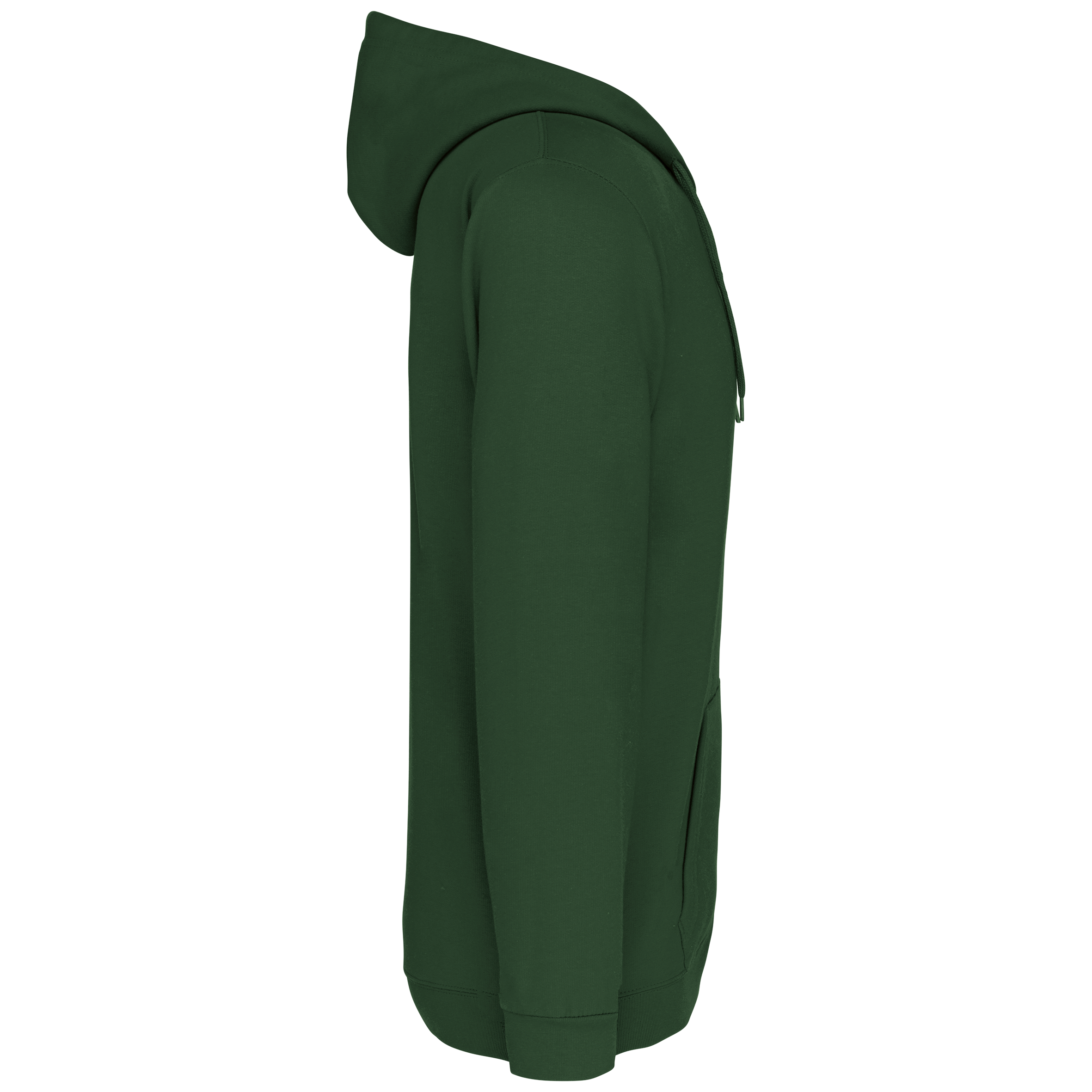 PS_K479-S_FORESTGREEN - Hidalgo