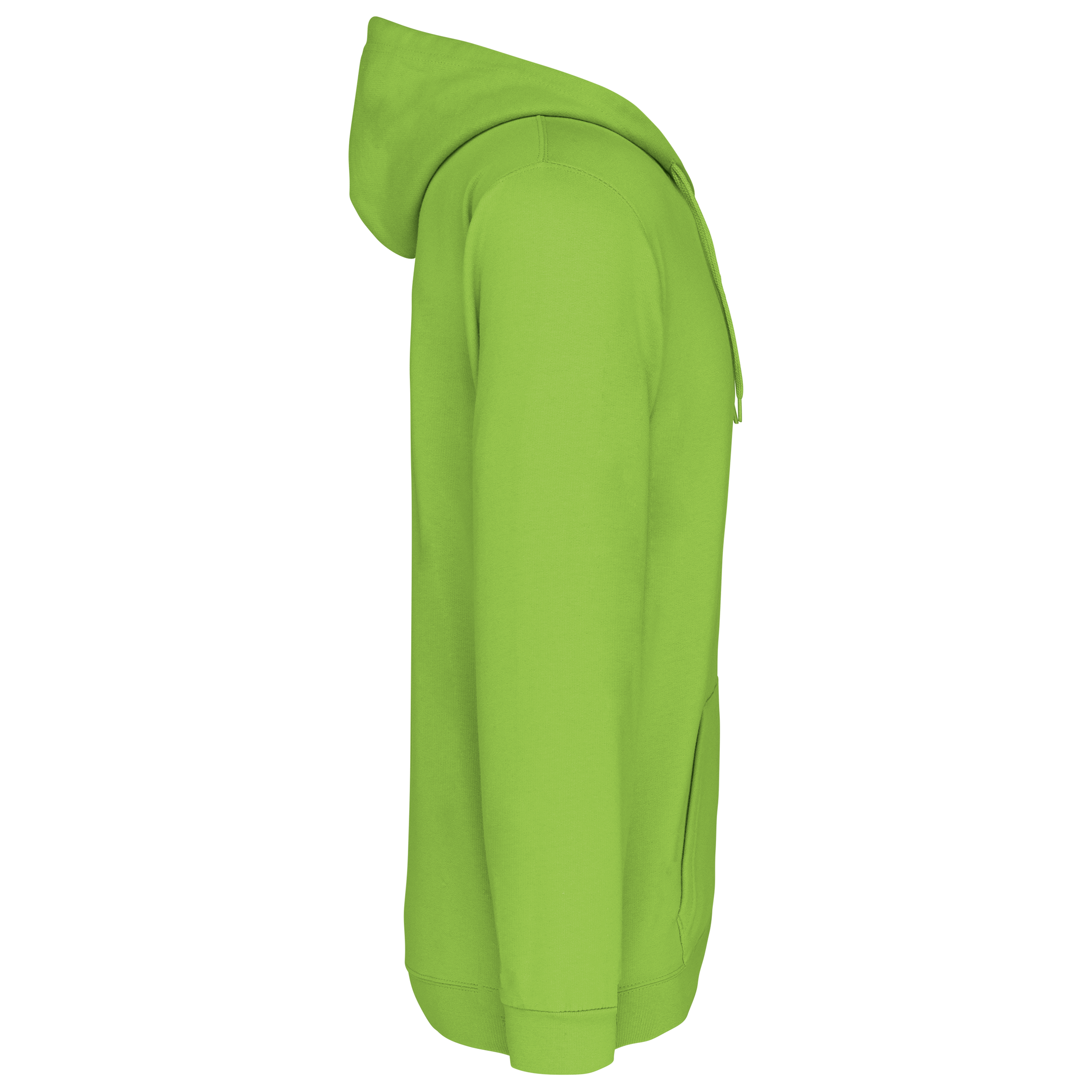 PS_K479-S_LIME - Hidalgo
