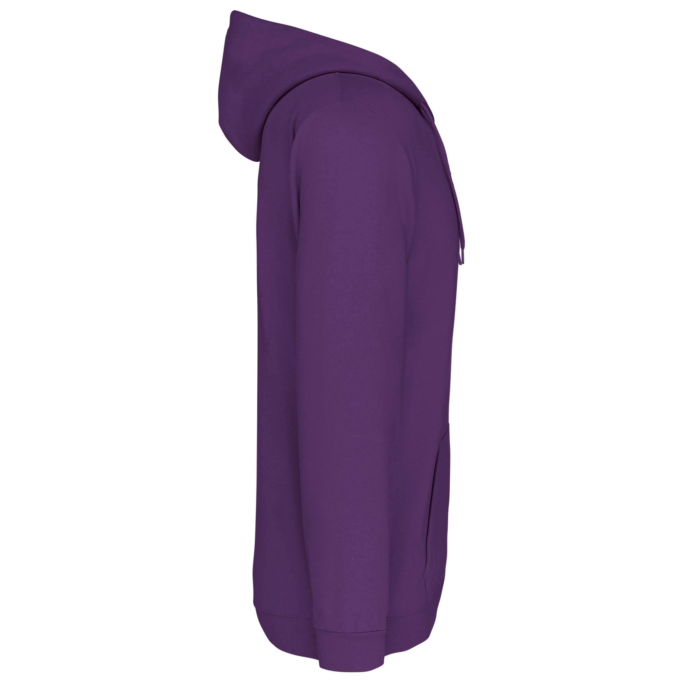 PS_K479-S_PURPLE - Hidalgo