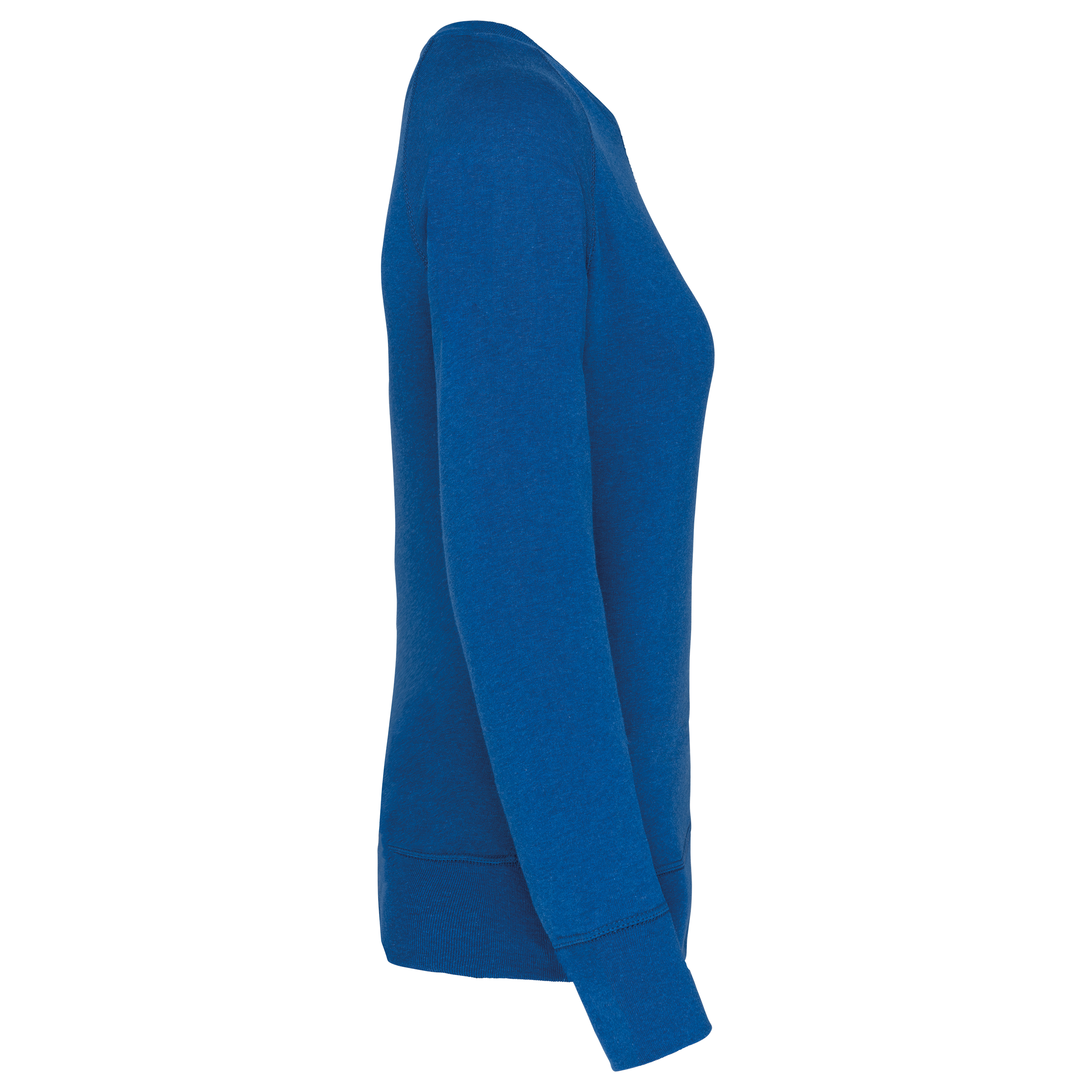 PS_K481-S_OCEANBLUEHEATHER - Hidalgo