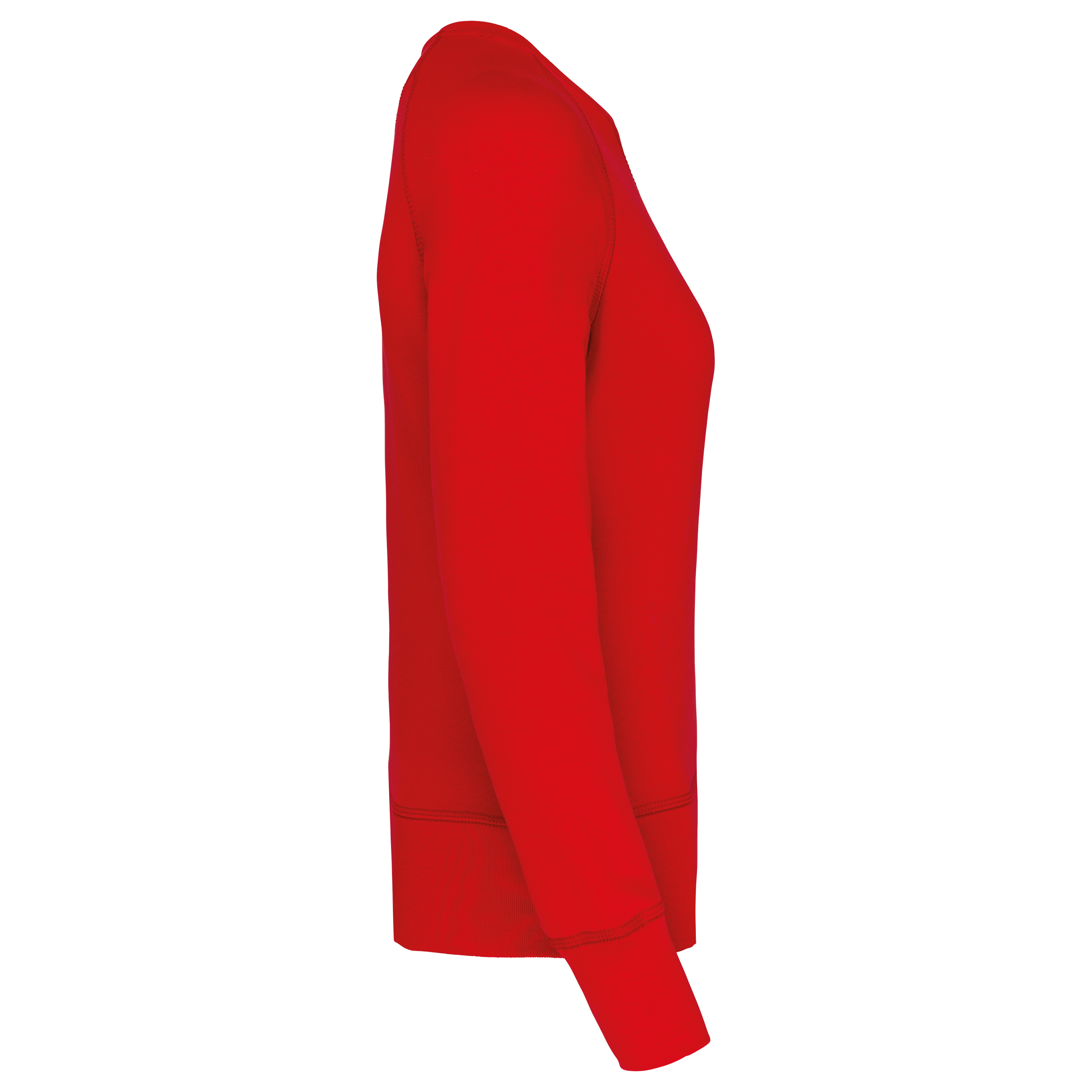 PS_K481-S_RED - Hidalgo