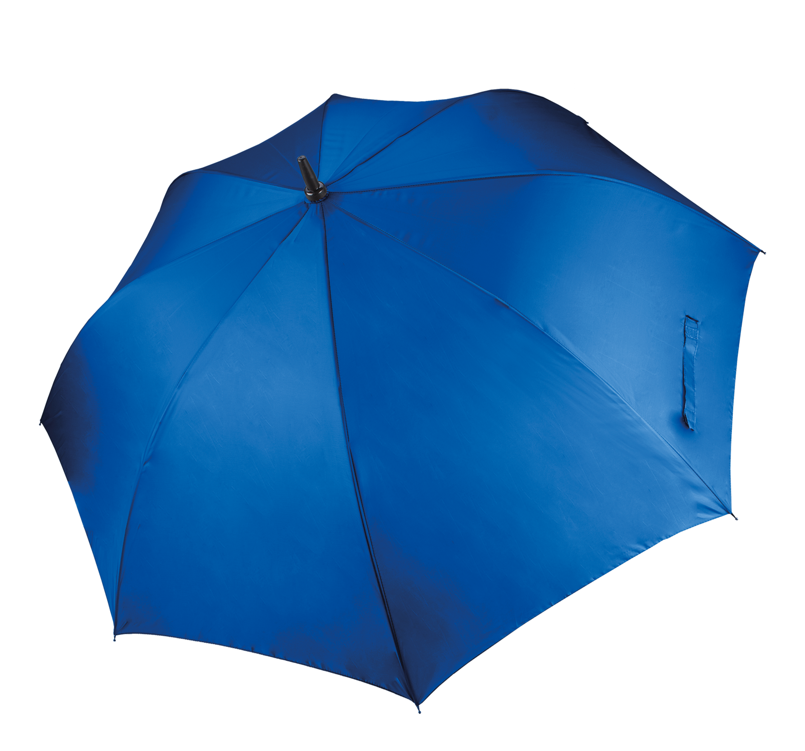 PS_KI2008_ROYALBLUE - Hidalgo