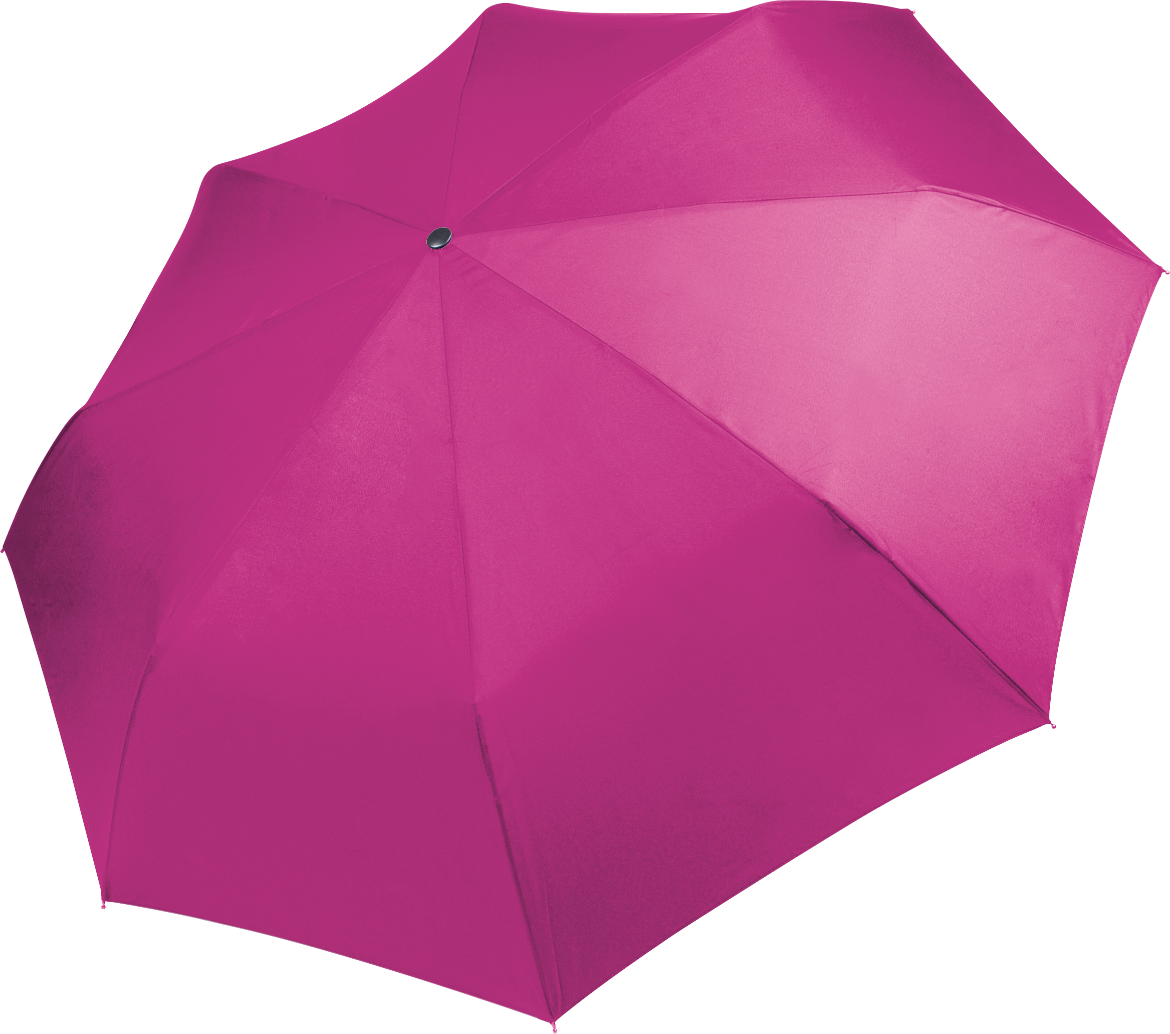 PS_KI2010_FUCHSIA - Hidalgo