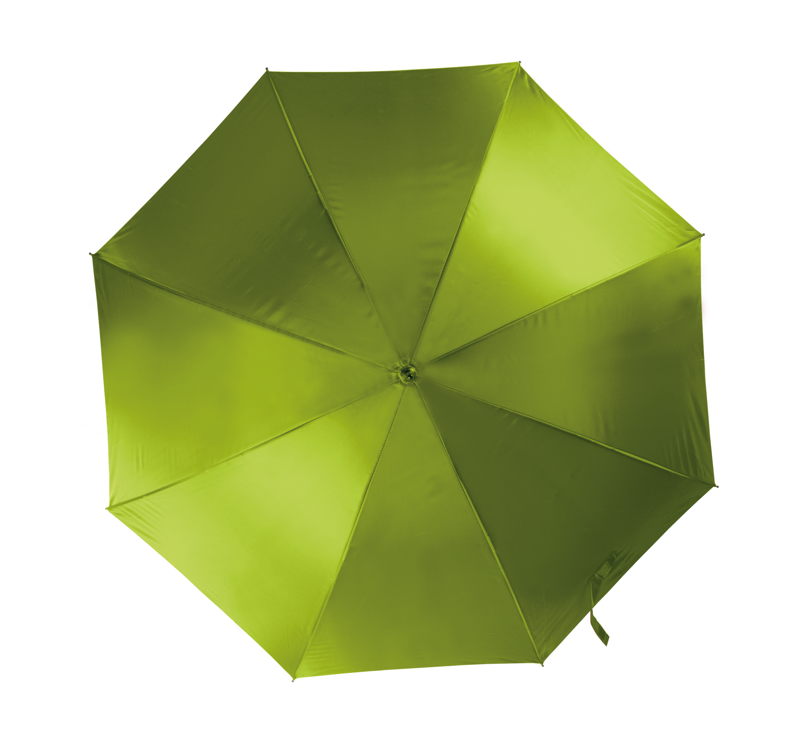 PS_KI2021_BURNTLIME - Hidalgo