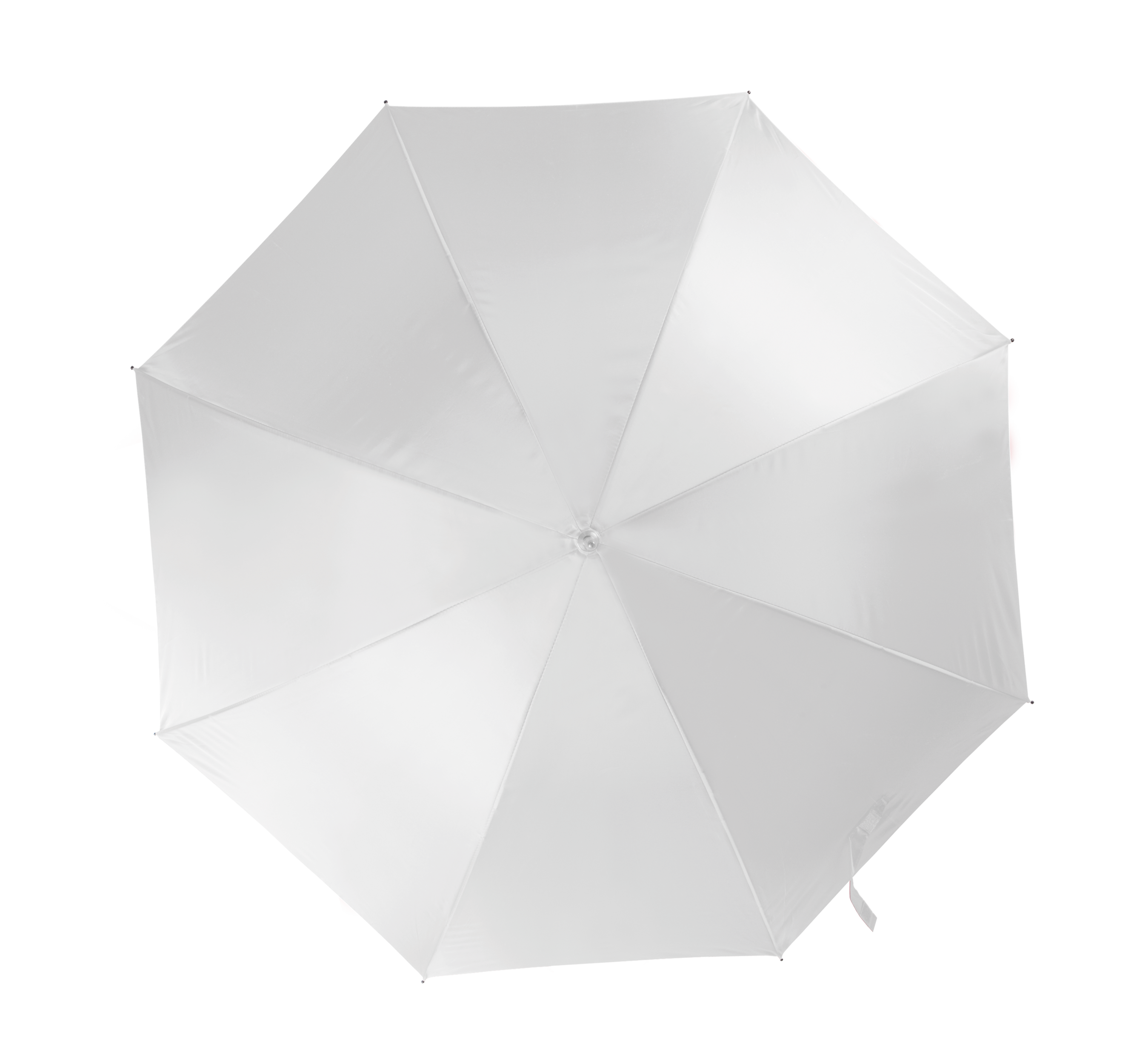 PS_KI2021_WHITE - Hidalgo