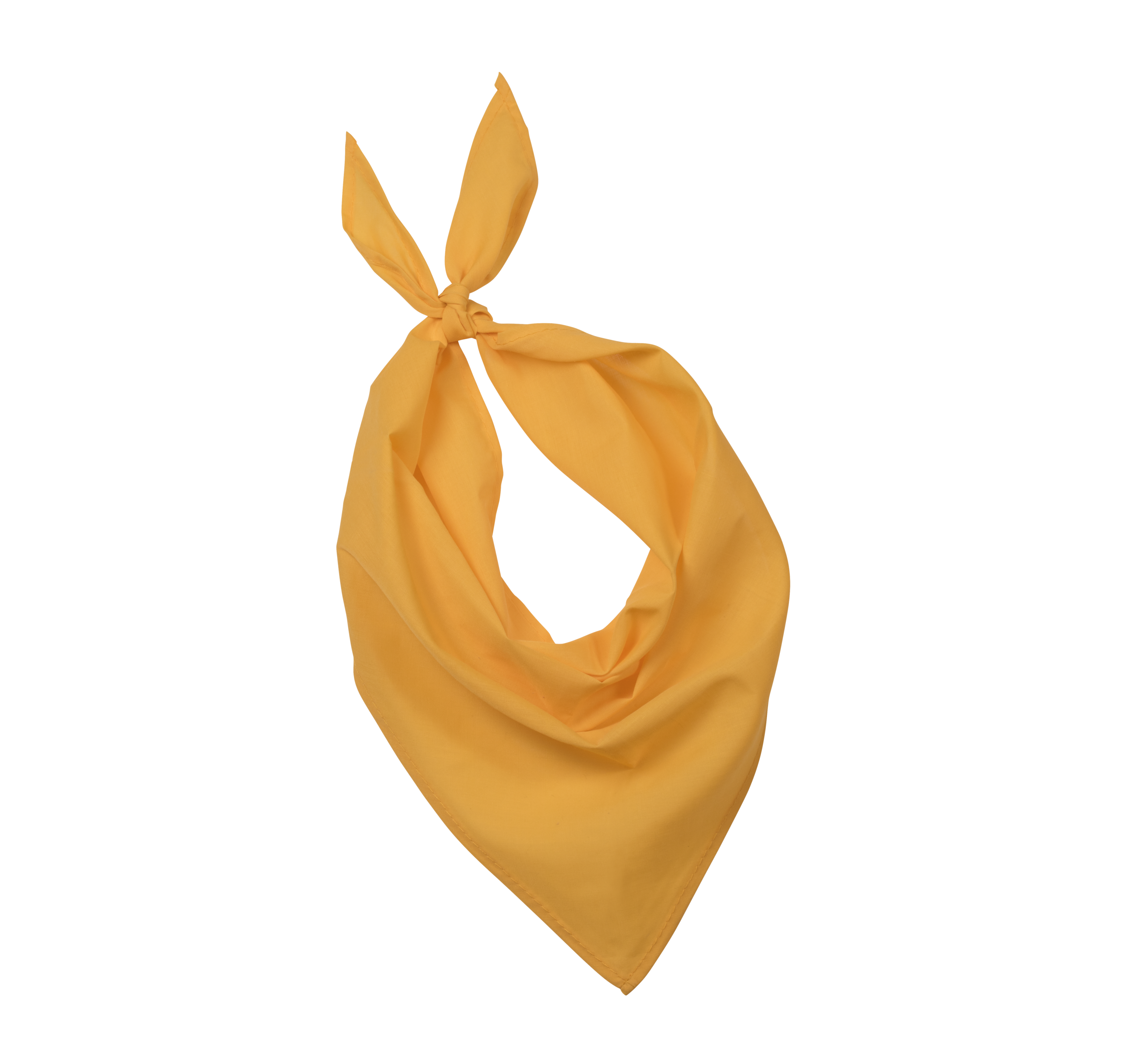 PS_KP064_YELLOW - Hidalgo