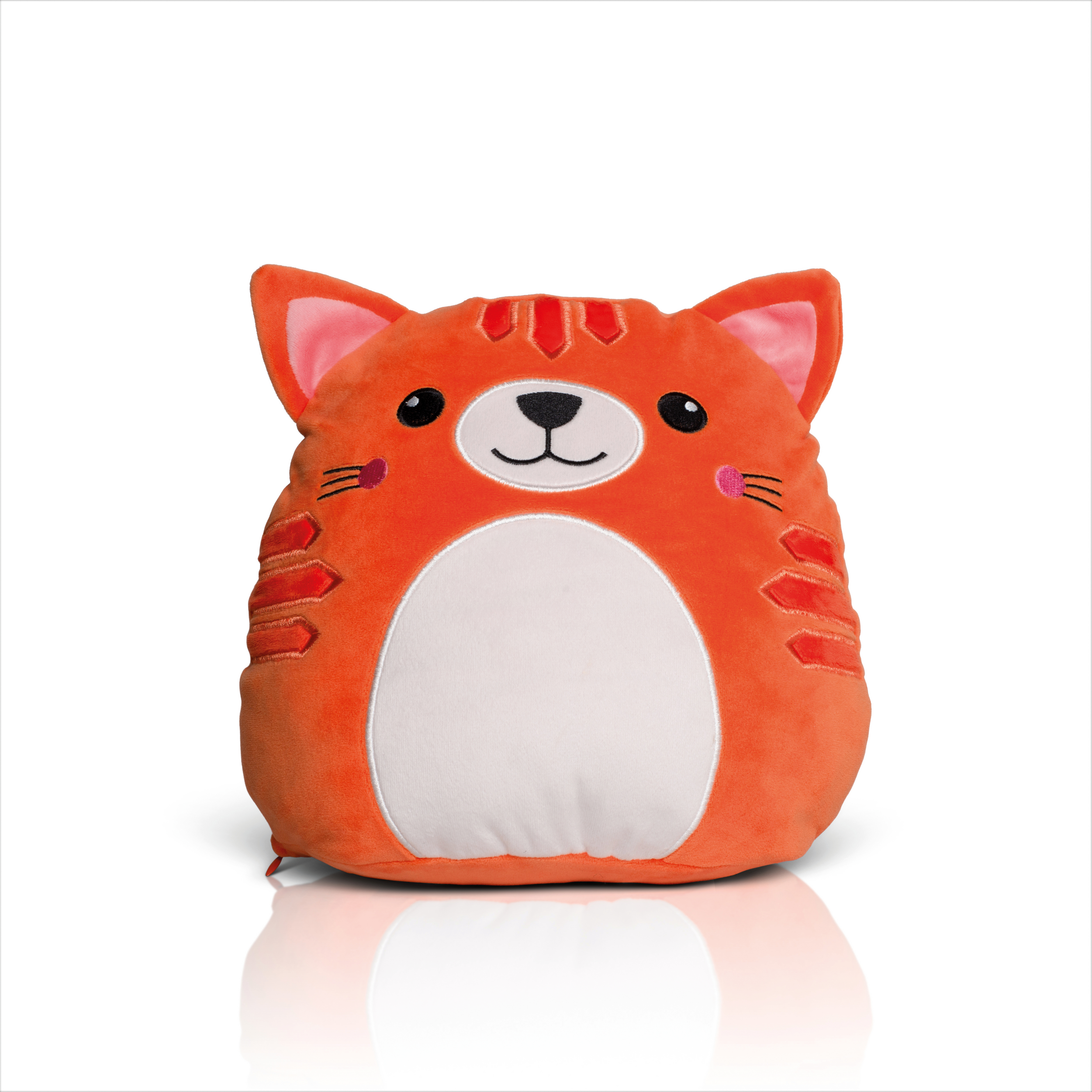 PS_MM800_GINGERCAT - Hidalgo