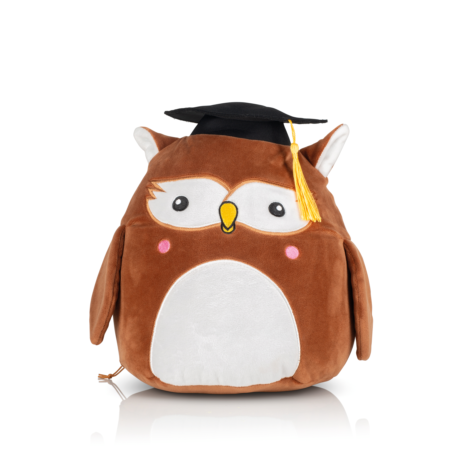 PS_MM800_WISEOWL - Hidalgo