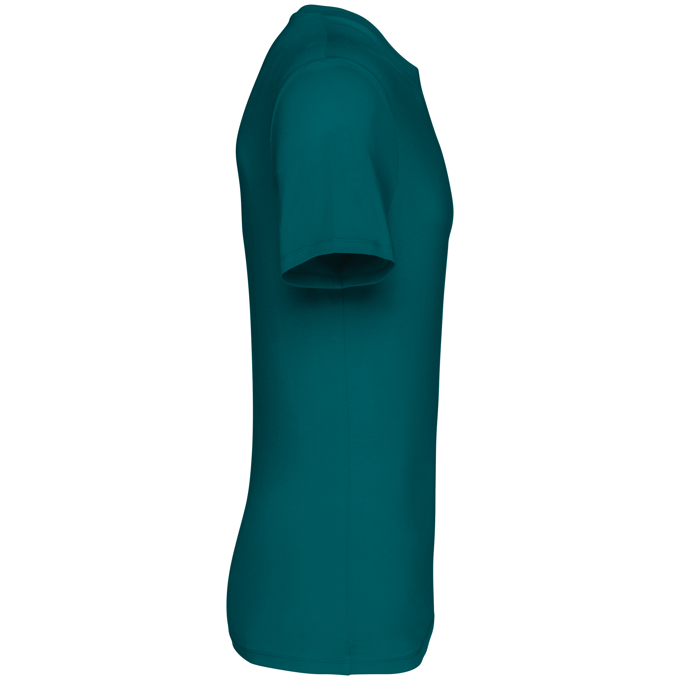 PS_NS305-S-2_PEACOCKGREEN - Hidalgo