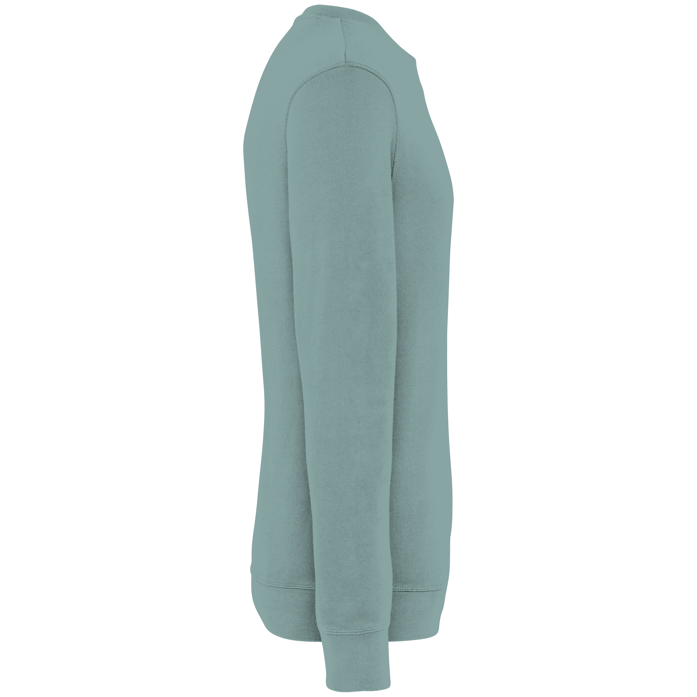 PS_NS414-S-2_WASHEDJADEGREEN - Hidalgo