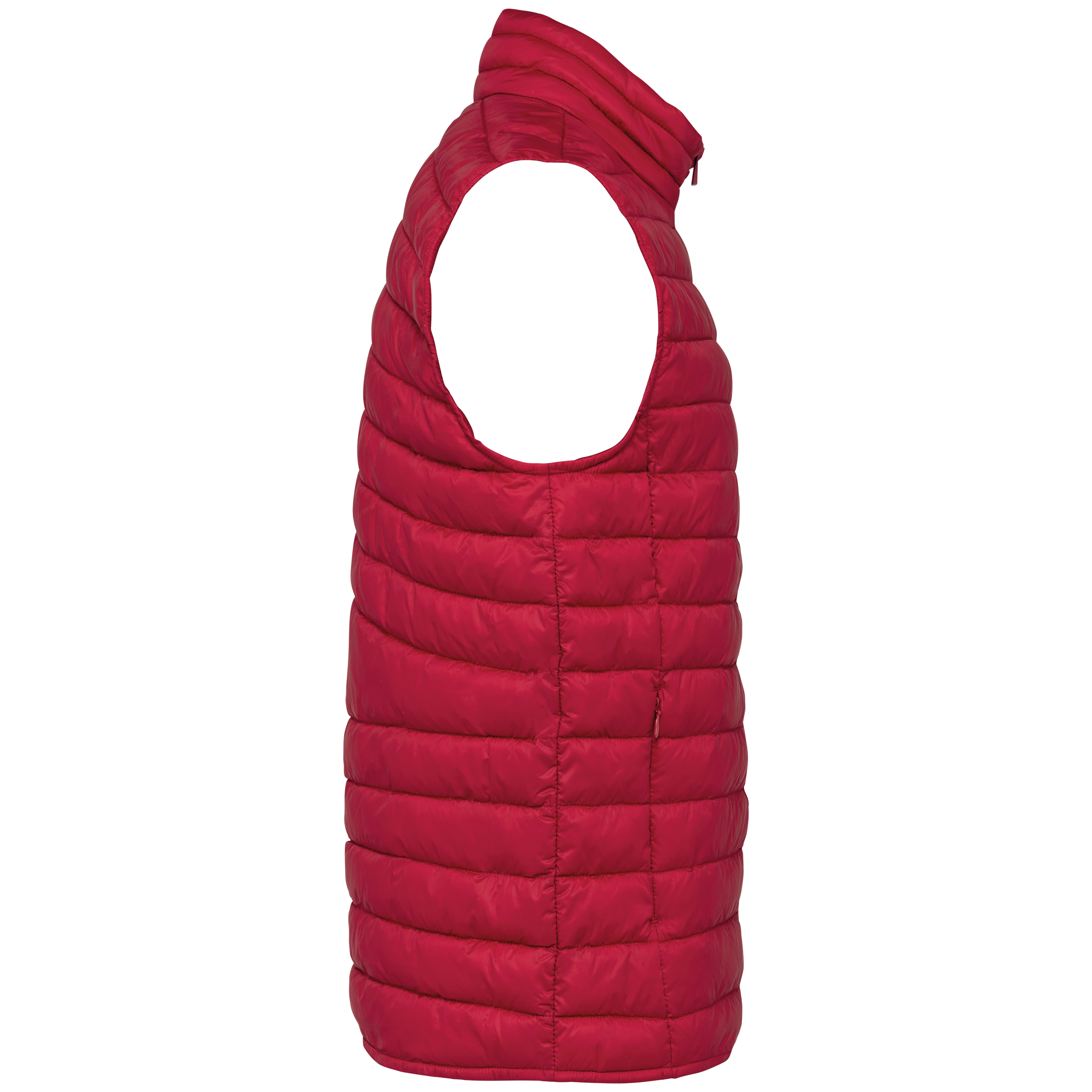 PS_NS6005-S-2_HIBISCUSRED - Hidalgo