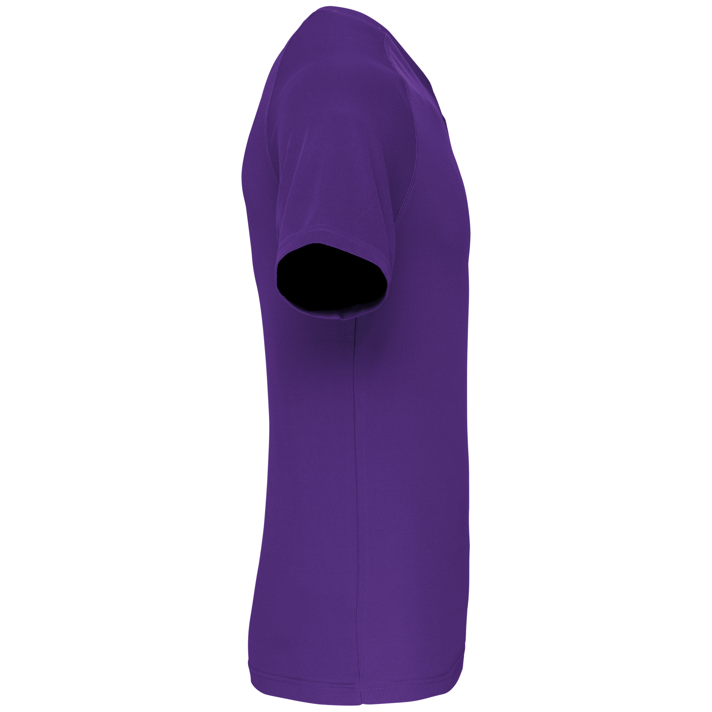PS_PA476-S_VIOLET - Hidalgo