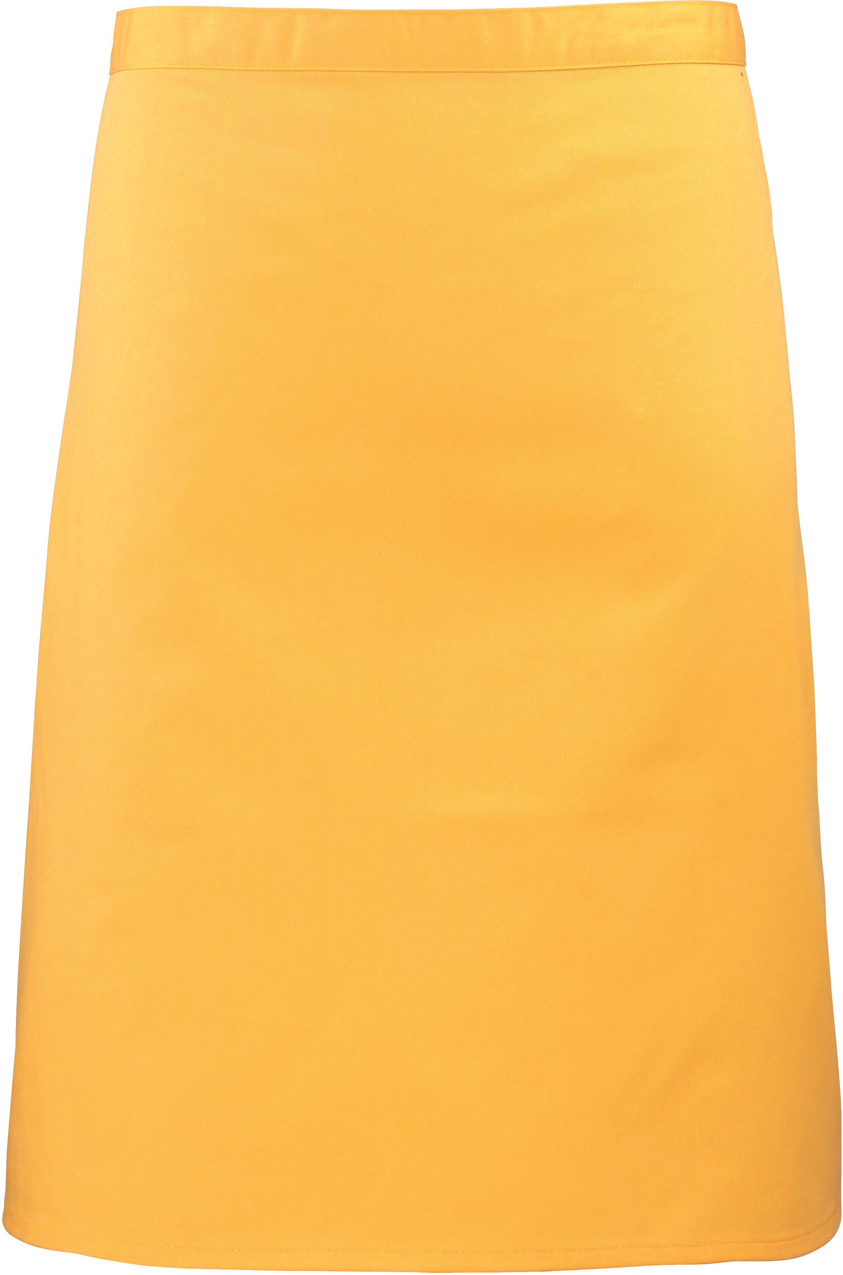 PS_PR151_SUNFLOWER - Hidalgo