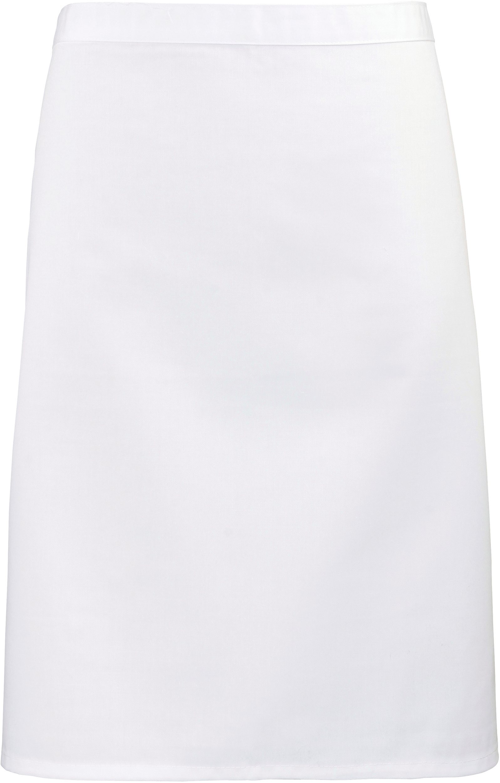 PS_PR151_WHITE - Hidalgo