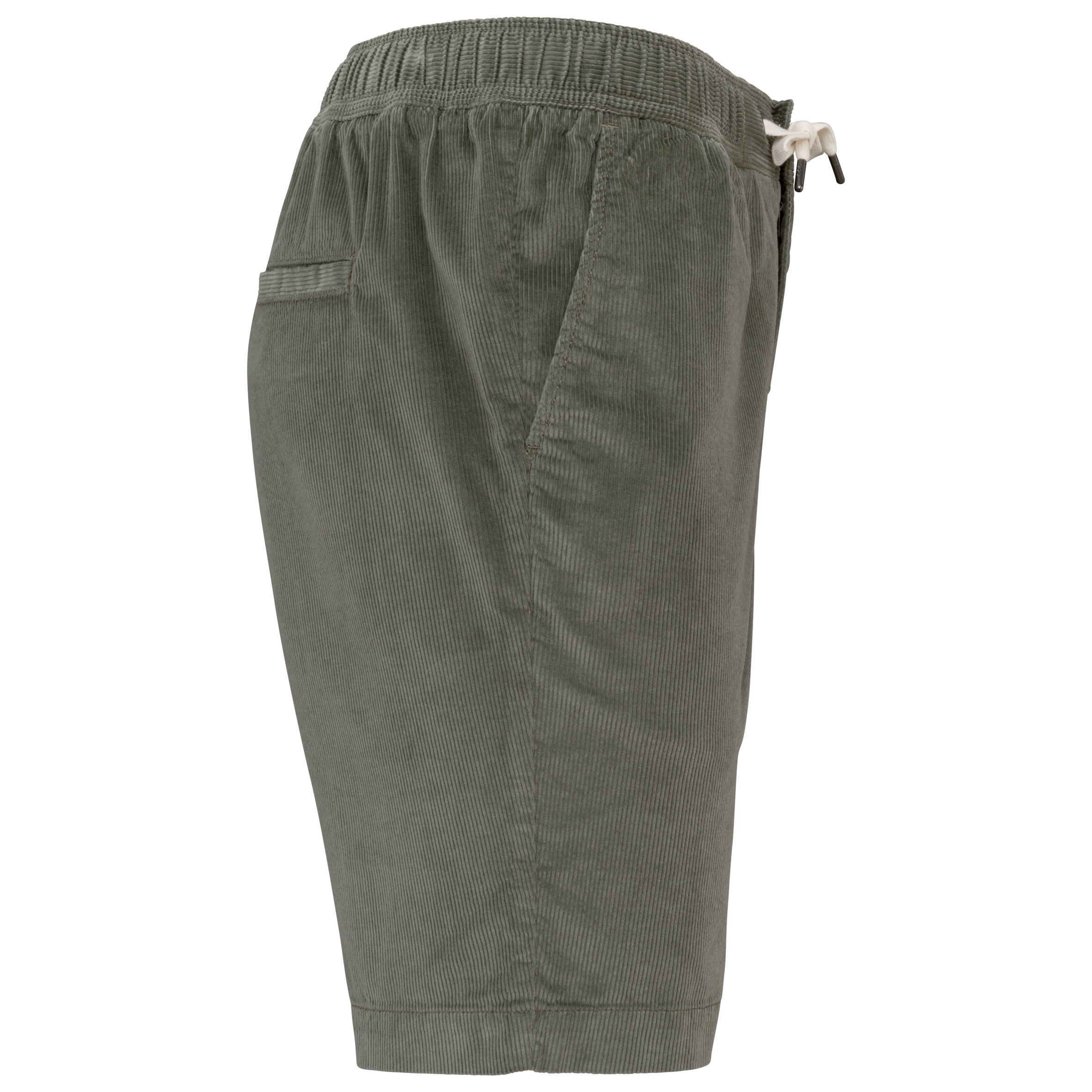 PS_SP742-S_PALEKHAKI - Hidalgo