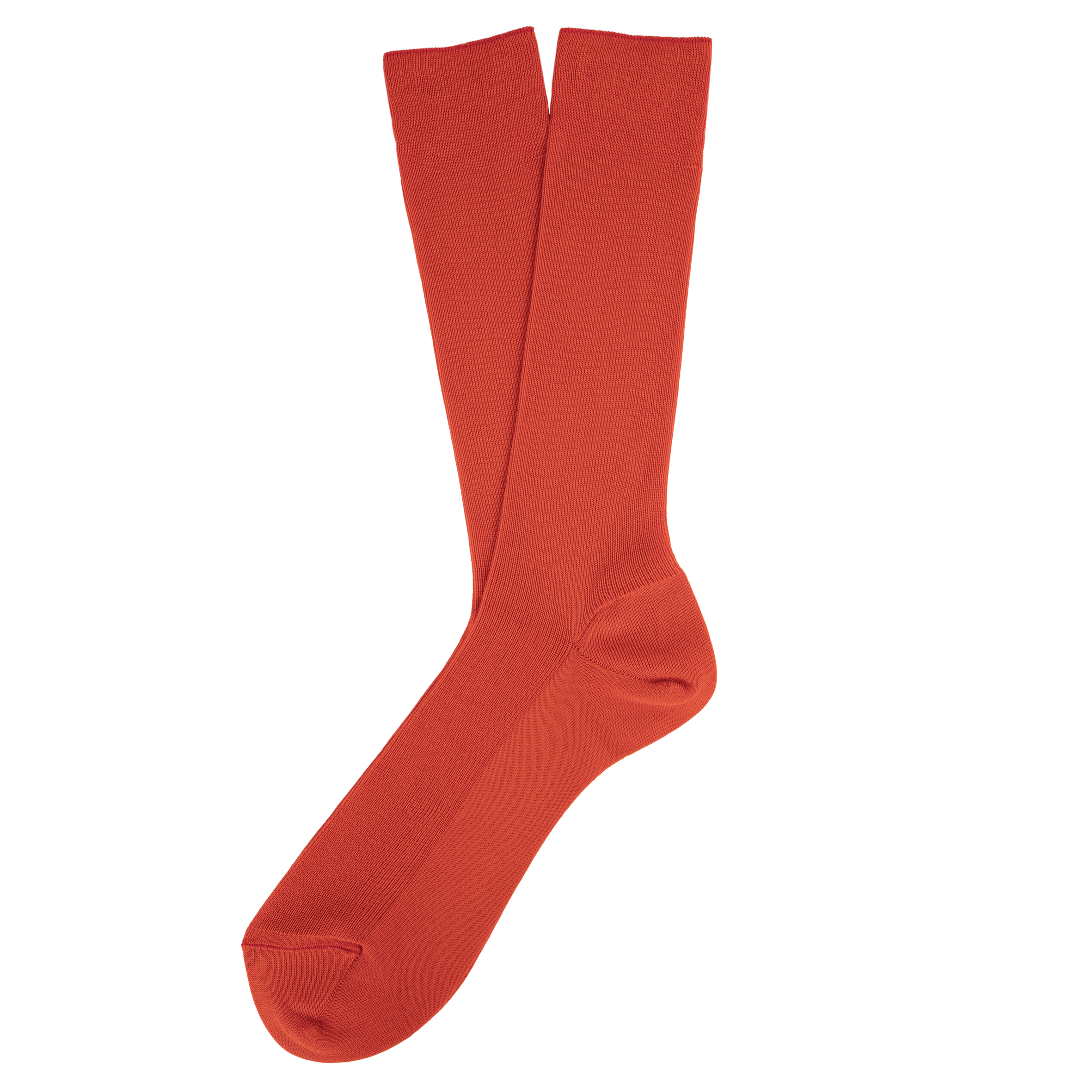 PS_SP800-S_PAPRIKA - Hidalgo