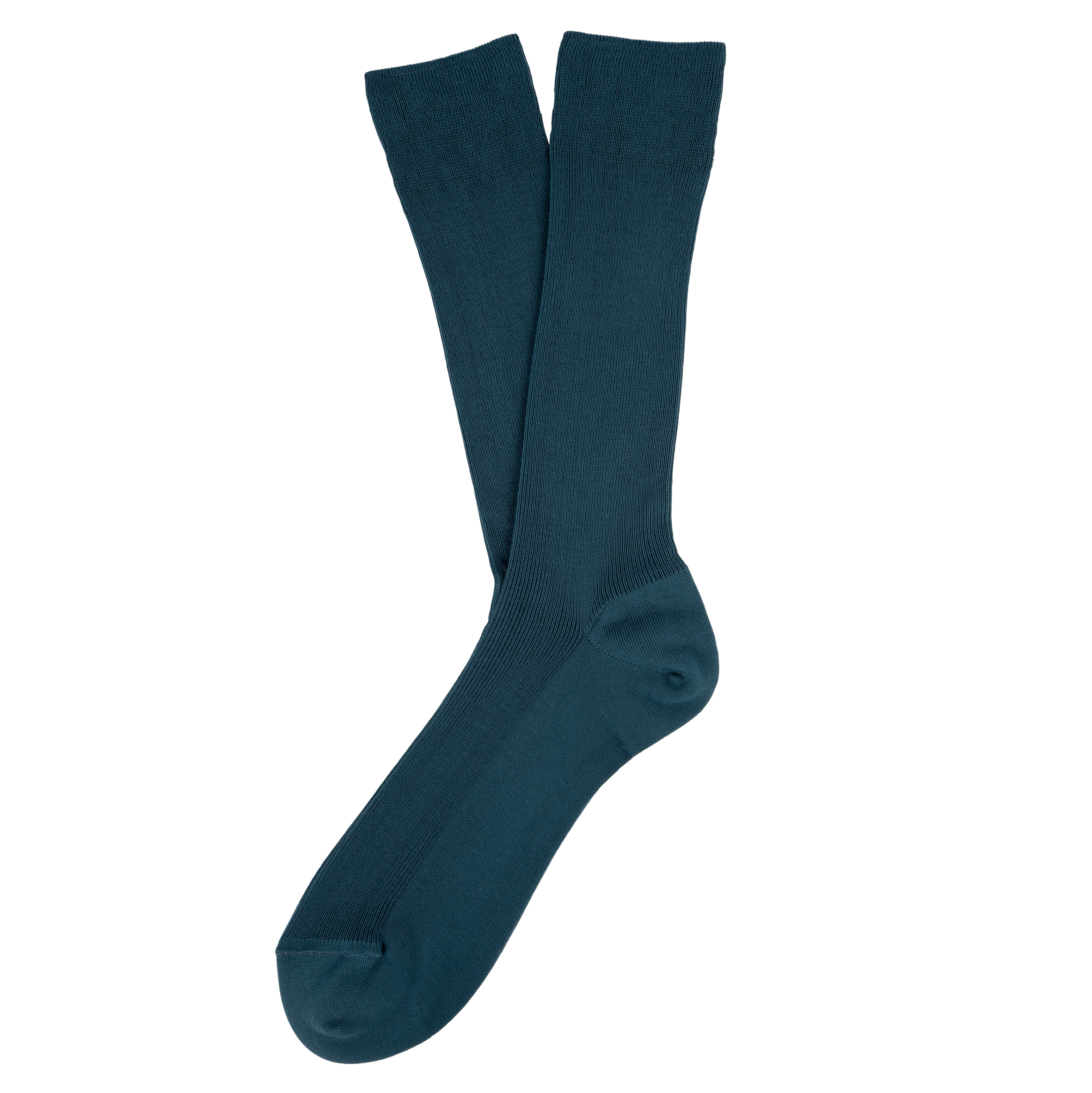 PS_SP800-S_PEACOCKBLUE - Hidalgo