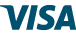 Visa logo in blue