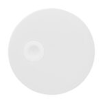 White circular disc with a small raised bump on the left side, viewed from above.