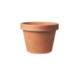Empty terracotta plant pot on white background with a wide rim