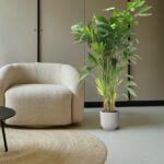 Beige boucle armchair beside a tall potted leafy plant in a minimalist living room with a round woven rug.