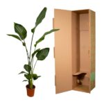 Tall potted green tropical plant with large leaves beside an open cardboard shipping box.