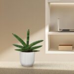 Potted green plant in a white ribbed pot on a speckled beige desk, with a built-in shelf and laptop in the background.