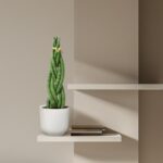 Green braided plant in a white ribbed pot on a beige wall shelf, minimal interior decor.