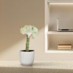 Cactus in a ribbed gray pot on a beige surface with a built-in shelf and laptop in the background.