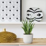 Decorative shelf scene with a black-and-white geometric print, a round zebra-pattern plate, a potted green plant, and a gold textured vase on a wooden surface.