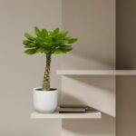 Potted green-leaf plant on a white ribbed pot placed on a floating shelf against a beige wall with a small book stack beside it.