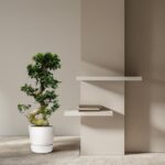 Minimalist indoor scene with a potted bonsai tree beside a beige column that has two white wall shelves, one with a small stack of books.