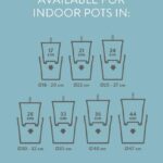 Infographic listing indoor pot sizes: 18–20 cm, 21 cm, 24 cm, 28 cm, 33 cm, 36 cm, 40 cm, 47 cm, each with a simple pot icon and a downward arrow.