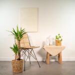Minimalist seating area with a woven chair, a potted plant in a wicker basket, and a small table with decor on a light wall.