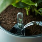 Tiny seedling growing in a planter with a water reservoir and drip irrigation tube in use.