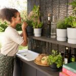 Woman smelling or inspecting a potted herb on an outdoor kitchen shelf, with plants, bottles, bread, and cookbooks nearby.