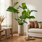 Tall potted monstera plant in a living room next to a beige sofa with rust and tan cushions, near a window with sheer curtains.