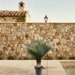 Potted palm on a beige tiled patio with a stone wall and a pool edge in the background.