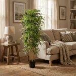 Tall potted indoor plant beside a beige sofa in a cozy living room with wooden floor and rug