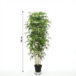 Tall potted plant with slender stems and dense green leaves, height 180 cm and pot diameter 20 cm