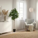 Bright living room with a gray armchair, beige throw, and a tall potted plant by a window with sheer curtains.