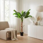 Bright, minimalist living room with a tall potted plant beside a beige chair and a white cabinet.