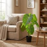 Living room corner with a beige sofa, a large leafy monstera plant in a black pot beside a wooden coffee table.