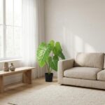 Bright living room with a cream sofa, large green plant, light wooden bench, and sheer white curtains by a sunny window.