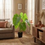 Living room with a large potted monstera plant by a window, beige walls, and a brown couch with throw pillows.