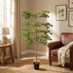 Tall indoor plant with branching stems in a black pot sits in a sunlit living room corner by a brown leather armchair and framed botanical art on the wall